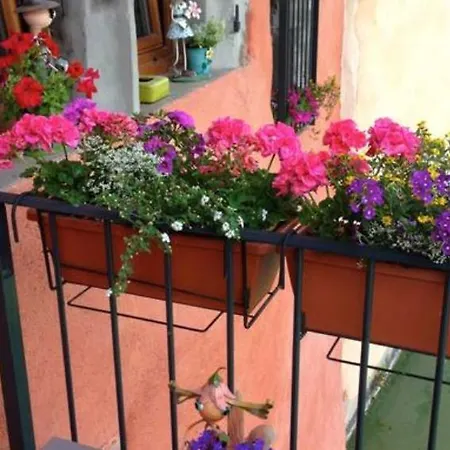Apartment Le Thiou Paradise Annecy